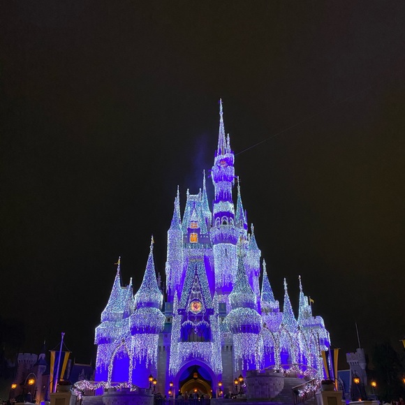 Meet your Posher, Tammy - Picture 1 of 1